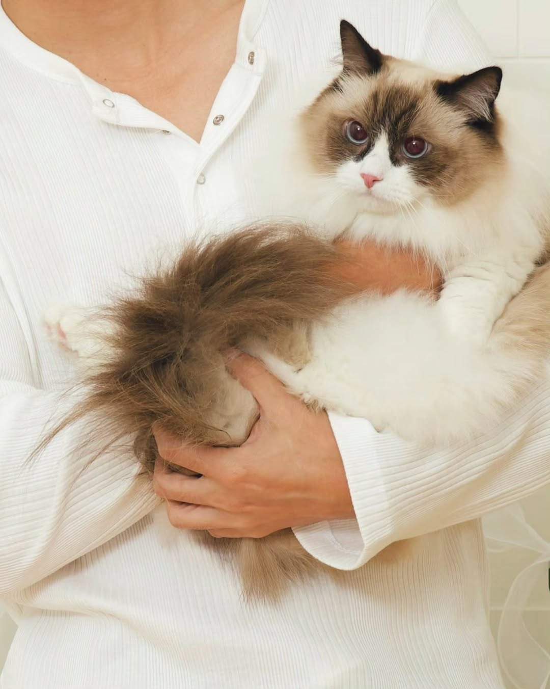 เจษ - เจษฎ์พิพัฒ ติละพรพัฒน์