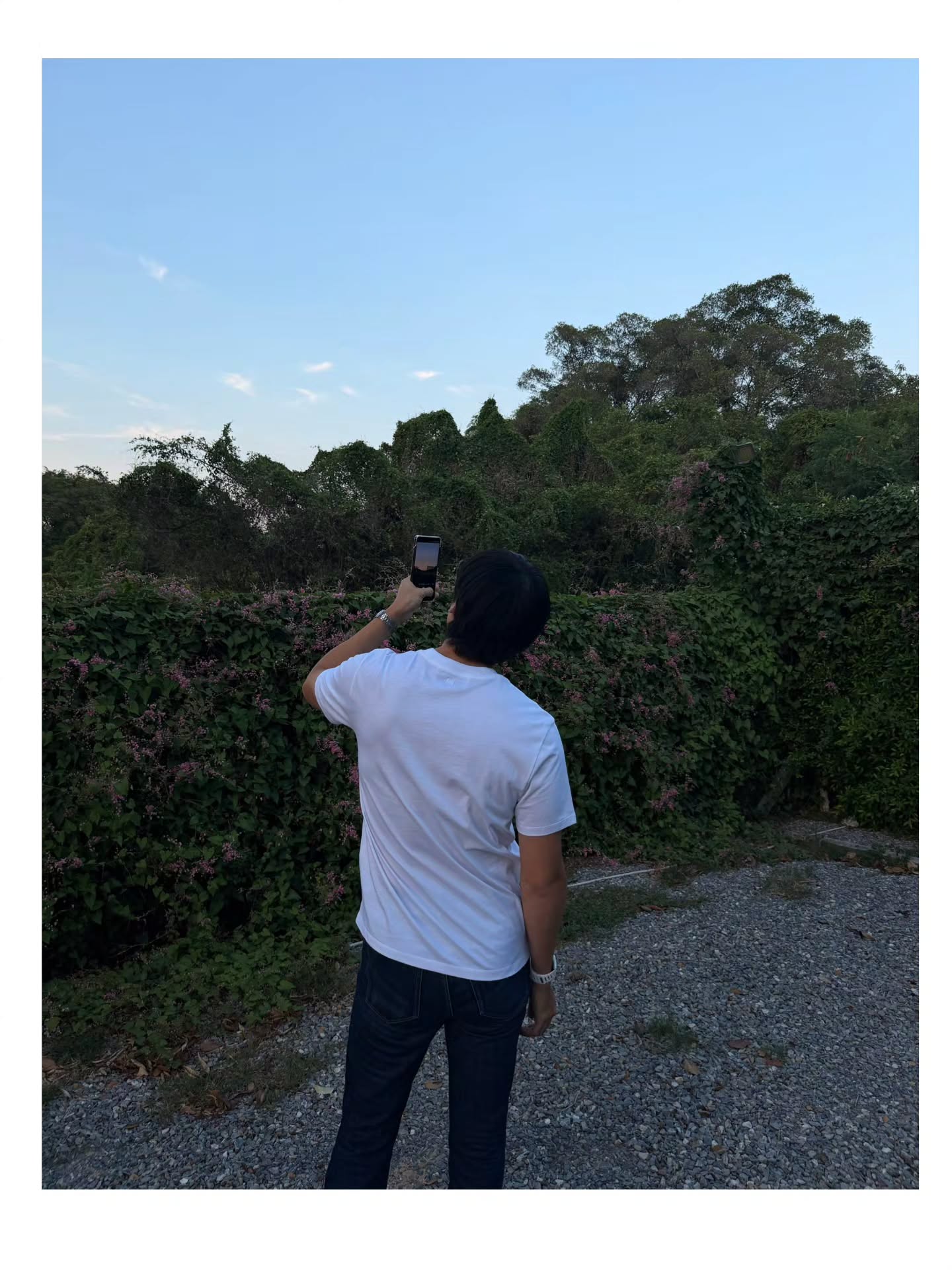 เจษ - เจษฎ์พิพัฒ ติละพรพัฒน์