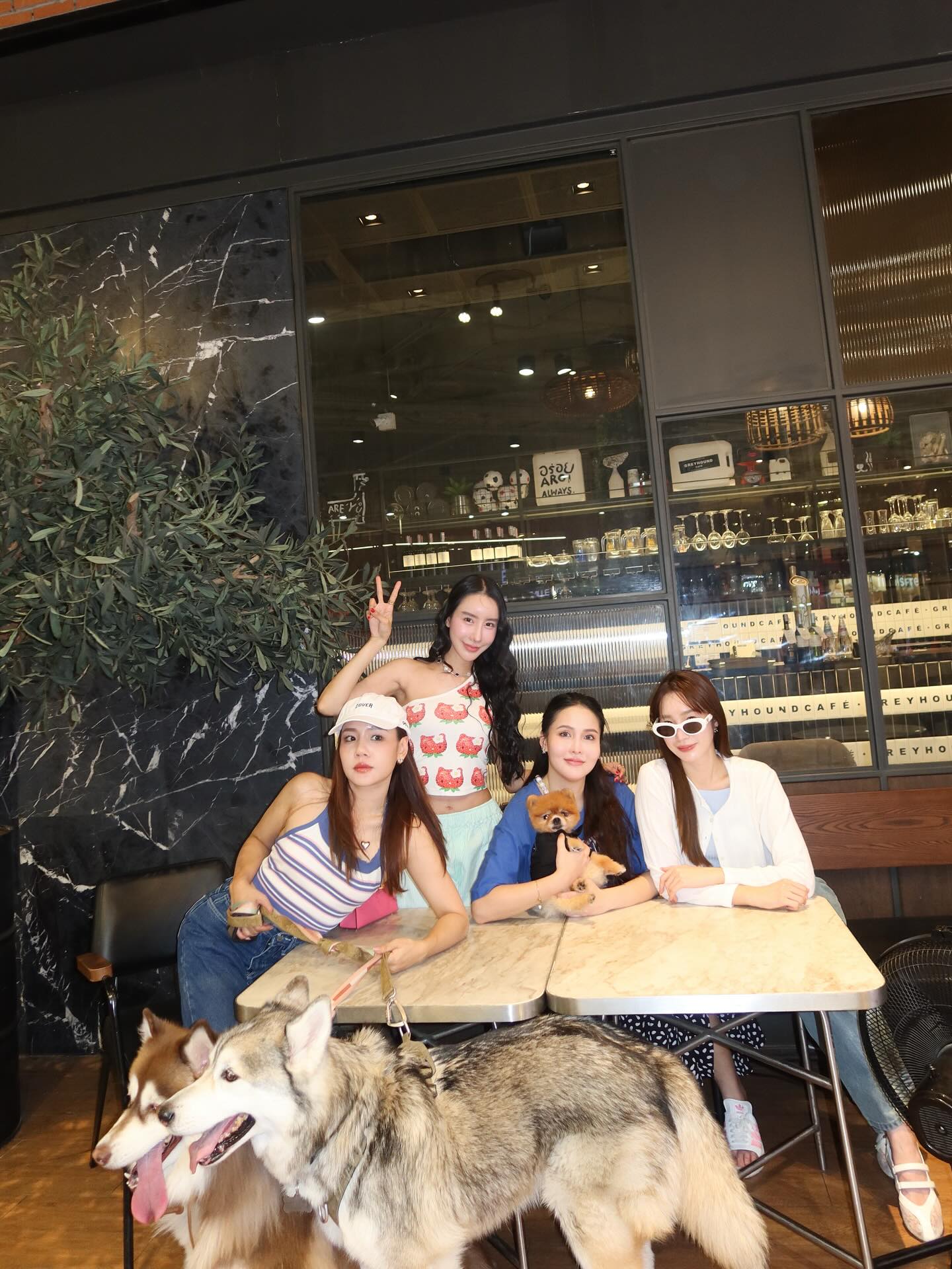 อิ๊งค์ - ภัทรานิษฐ์ วิริยะบำรุงกิจ