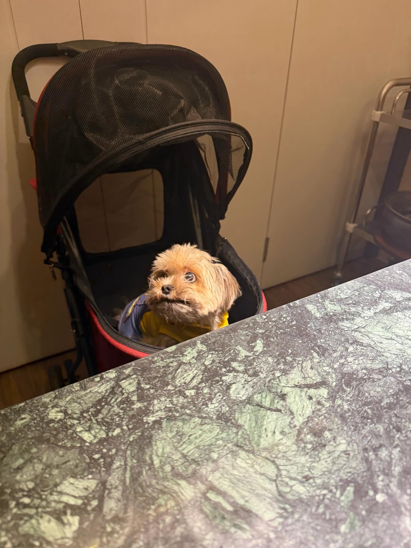 อิ๊งค์ - ภัทรานิษฐ์ วิริยะบำรุงกิจ