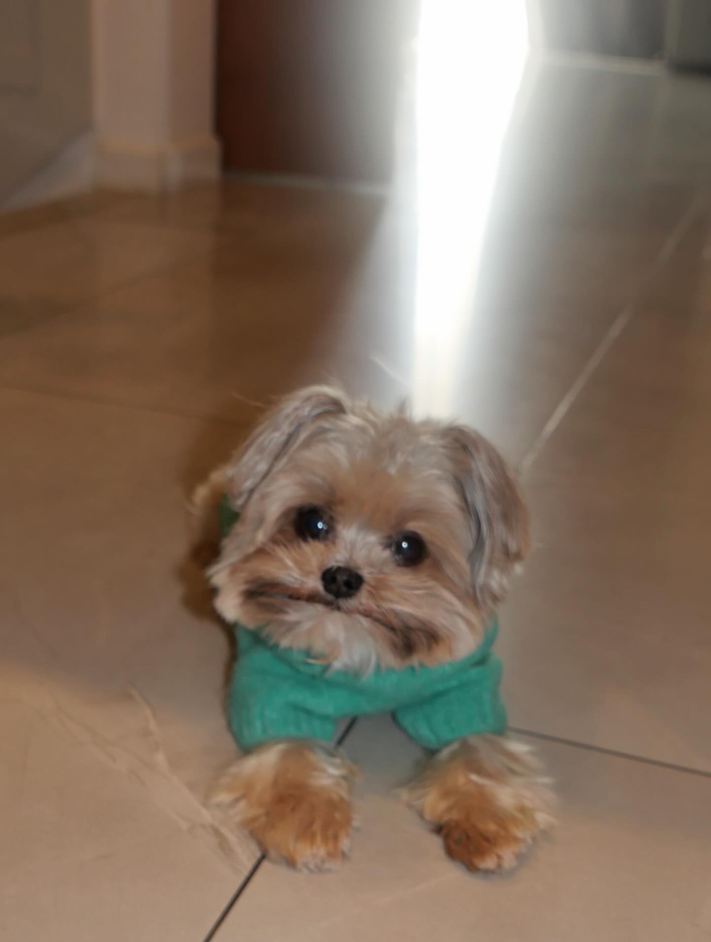 อิ๊งค์ - ภัทรานิษฐ์ วิริยะบำรุงกิจ