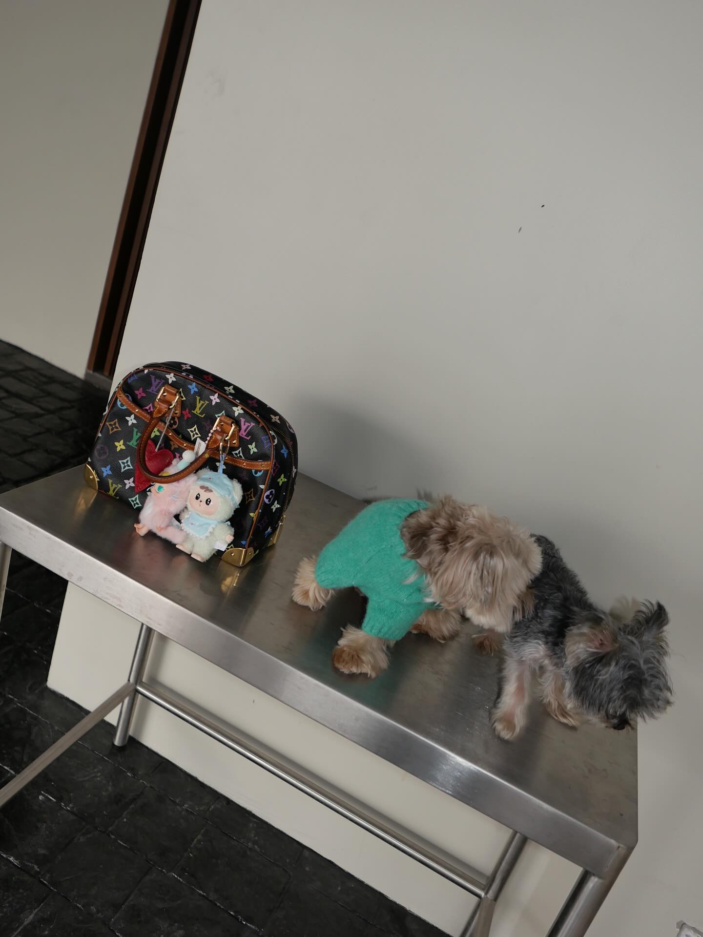 อิ๊งค์ - ภัทรานิษฐ์ วิริยะบำรุงกิจ