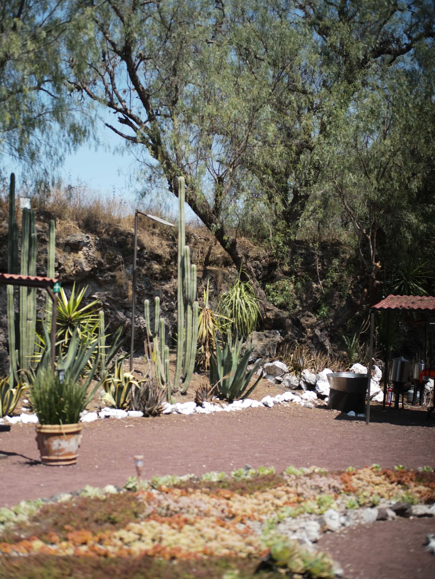 อิ๊งค์ - ภัทรานิษฐ์ วิริยะบำรุงกิจ