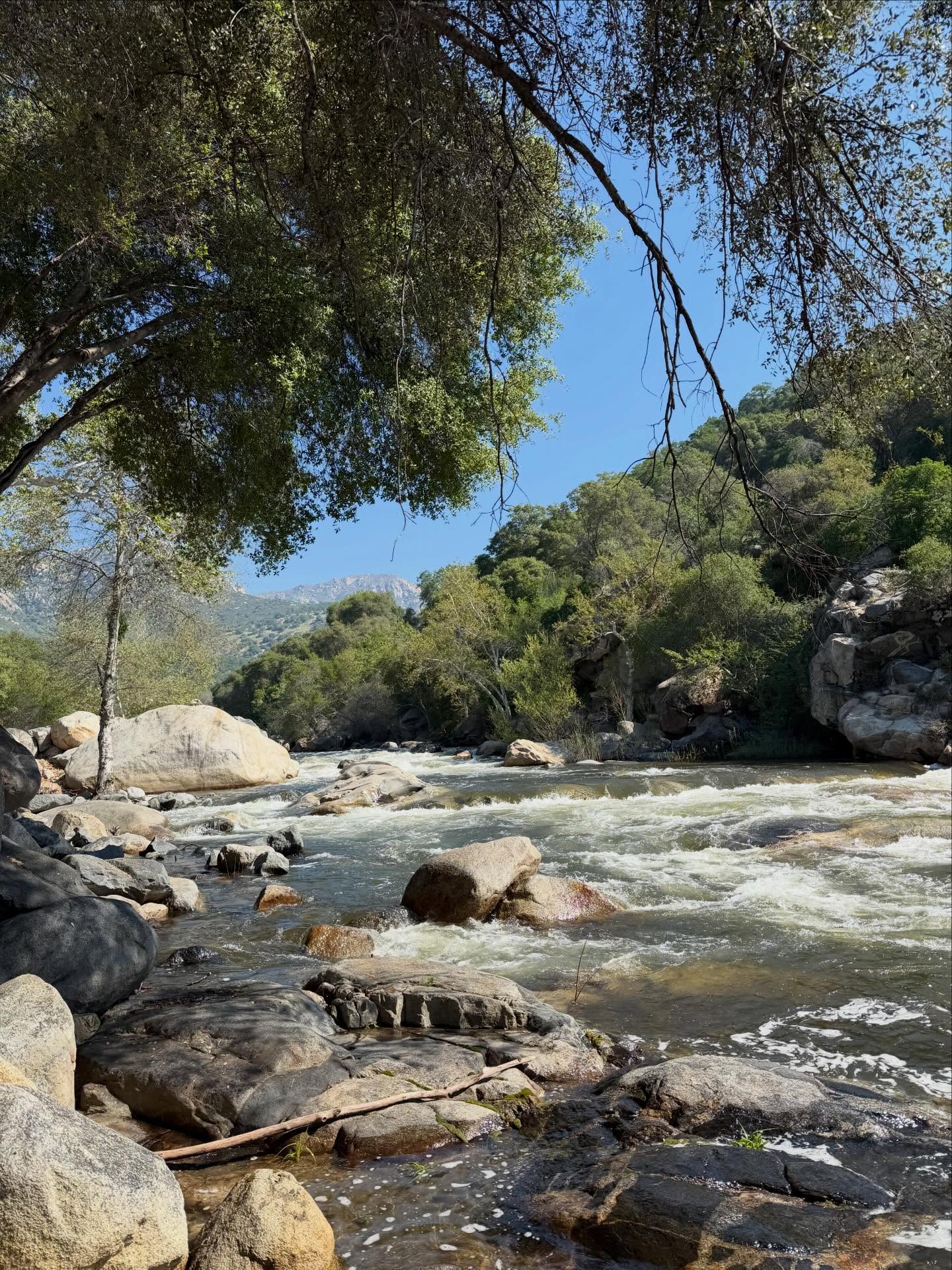 อิ๊งค์ - ภัทรานิษฐ์ วิริยะบำรุงกิจ