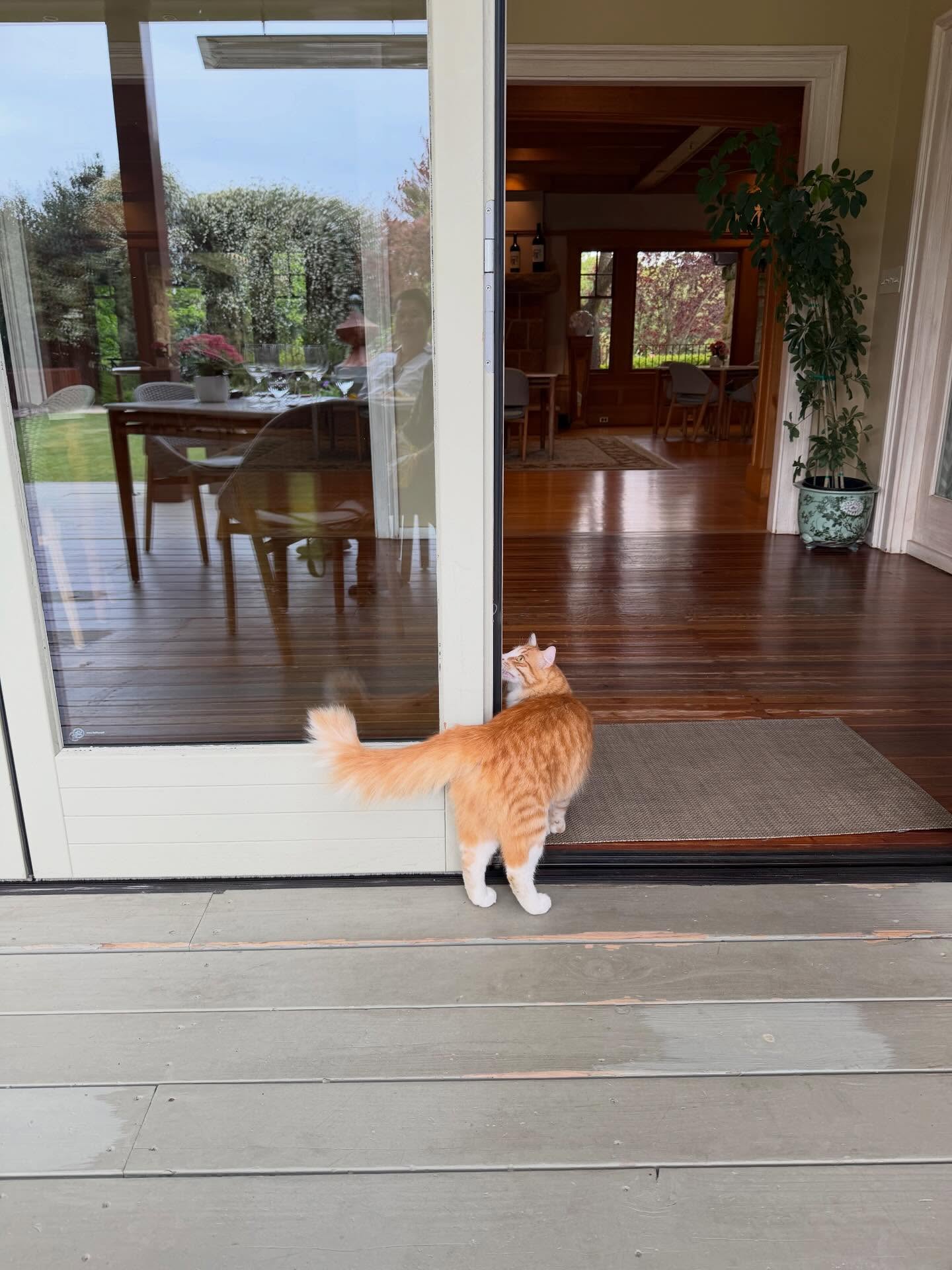 อิ๊งค์ - ภัทรานิษฐ์ วิริยะบำรุงกิจ