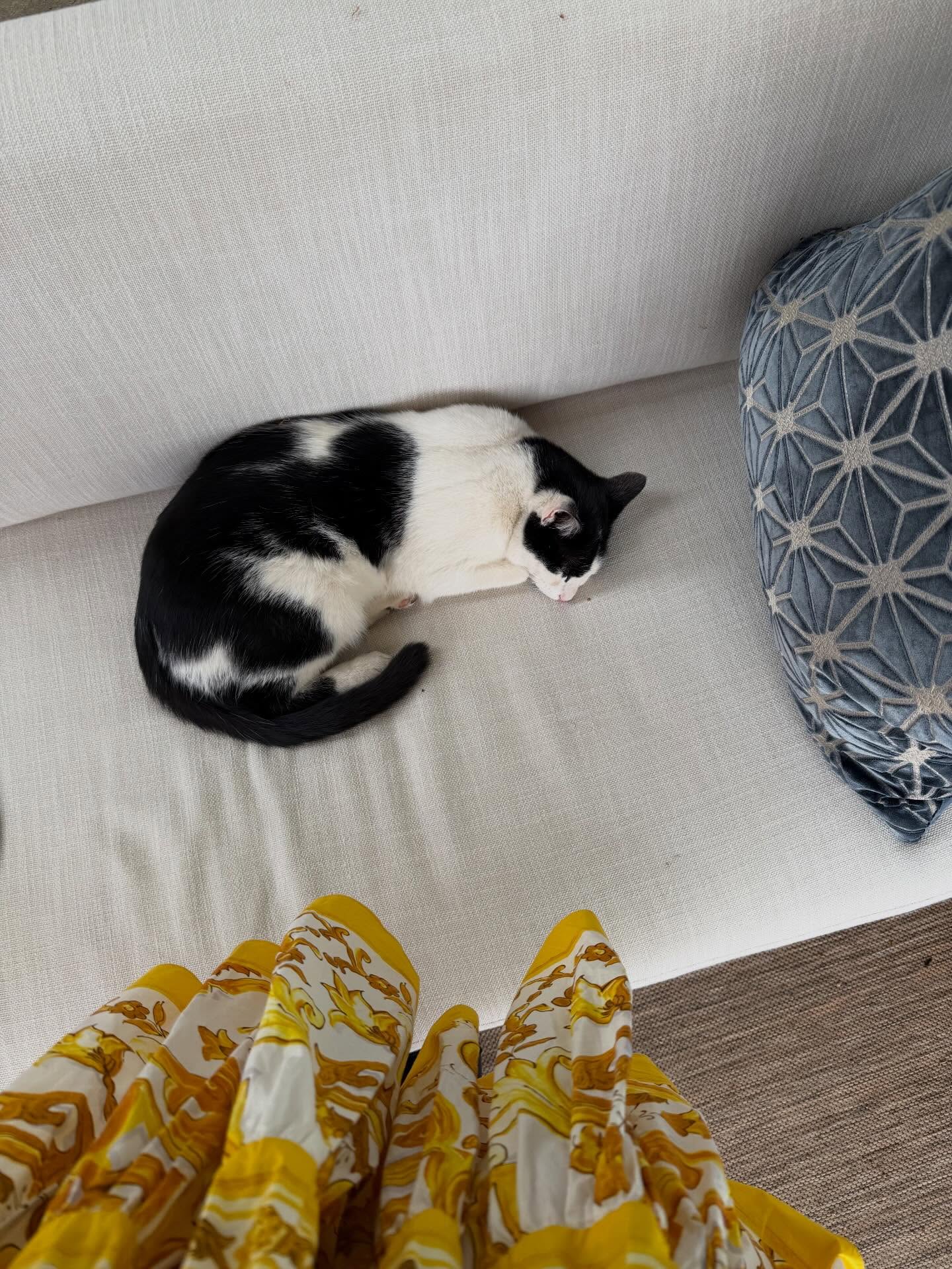 อิ๊งค์ - ภัทรานิษฐ์ วิริยะบำรุงกิจ