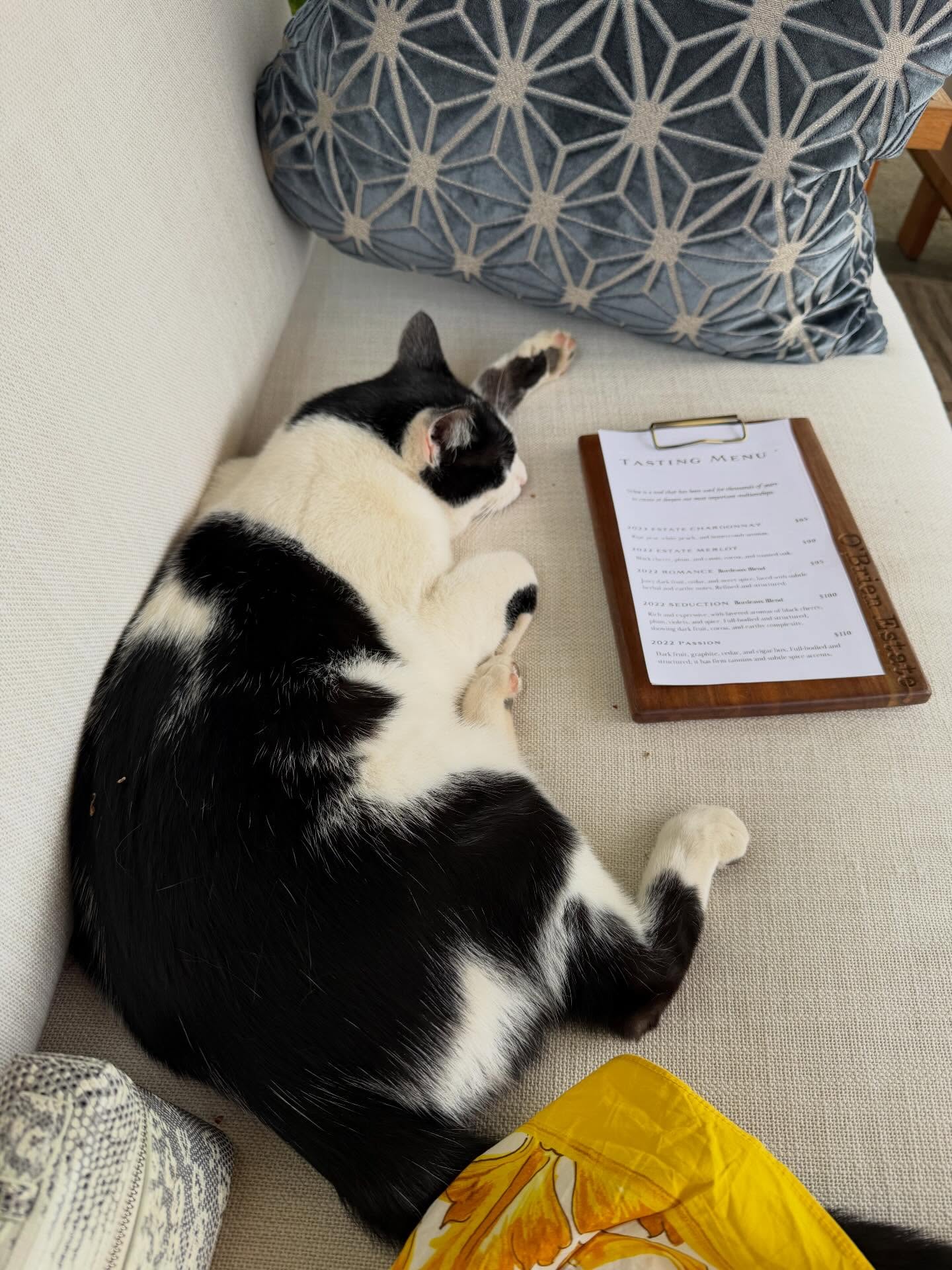 อิ๊งค์ - ภัทรานิษฐ์ วิริยะบำรุงกิจ