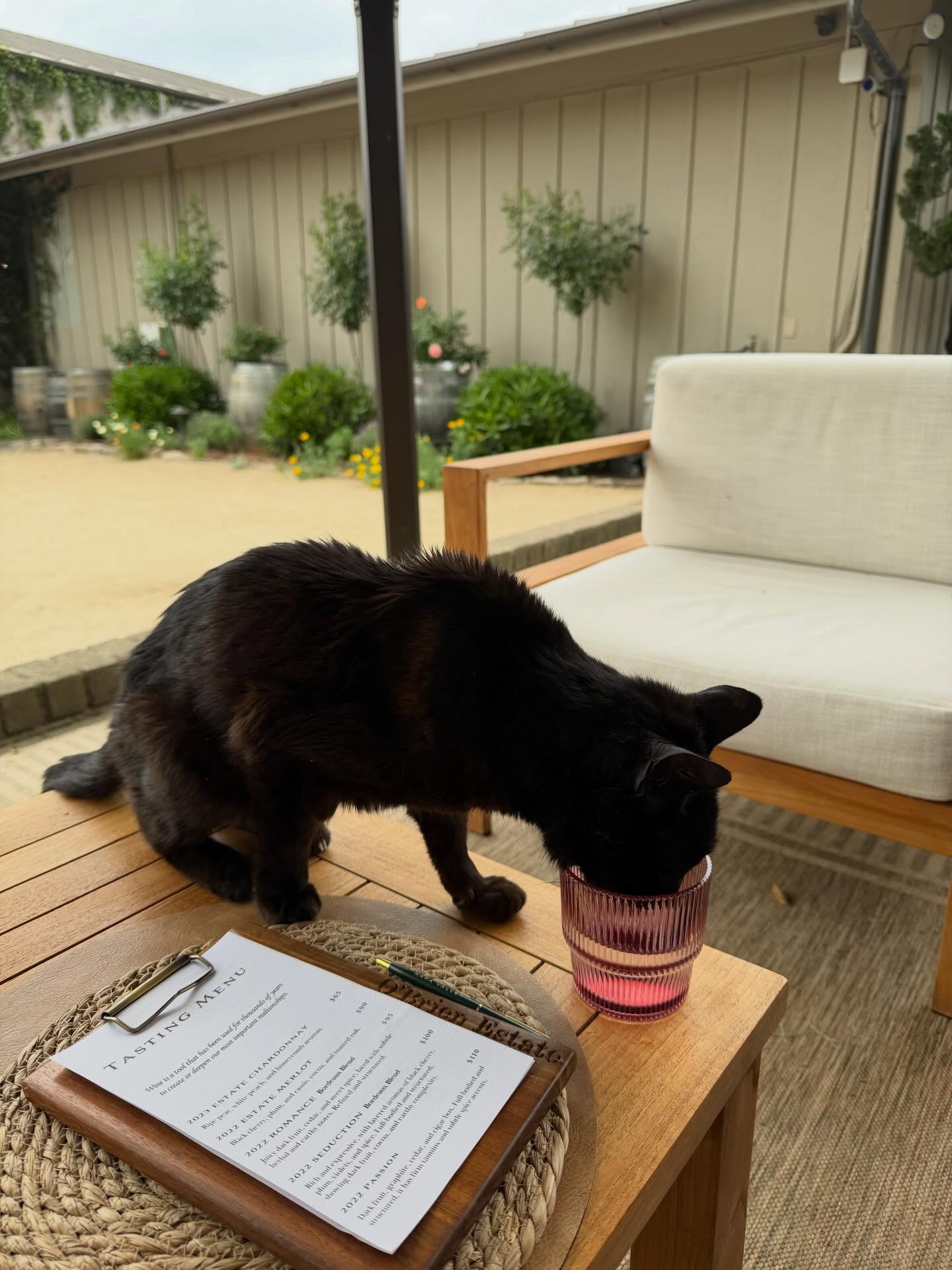 อิ๊งค์ - ภัทรานิษฐ์ วิริยะบำรุงกิจ