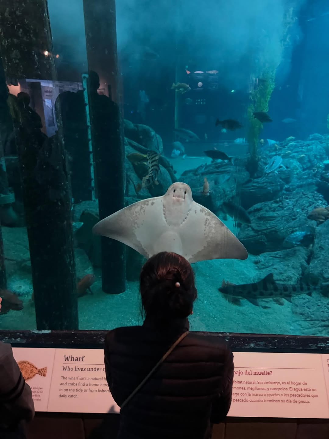 อิ๊งค์ - ภัทรานิษฐ์ วิริยะบำรุงกิจ