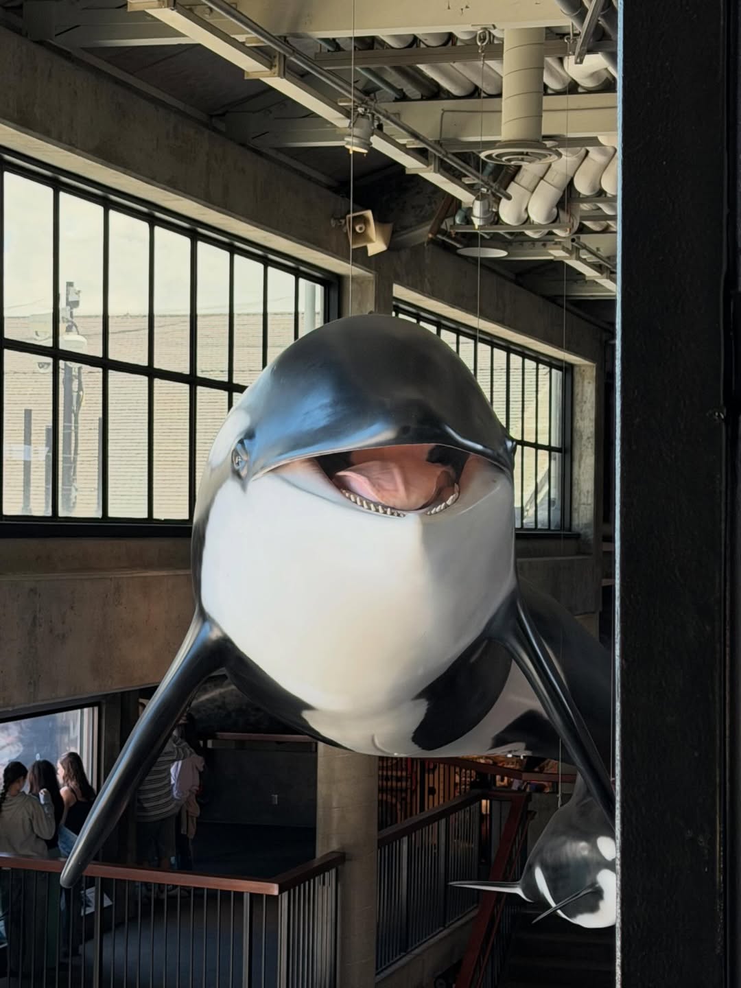 อิ๊งค์ - ภัทรานิษฐ์ วิริยะบำรุงกิจ