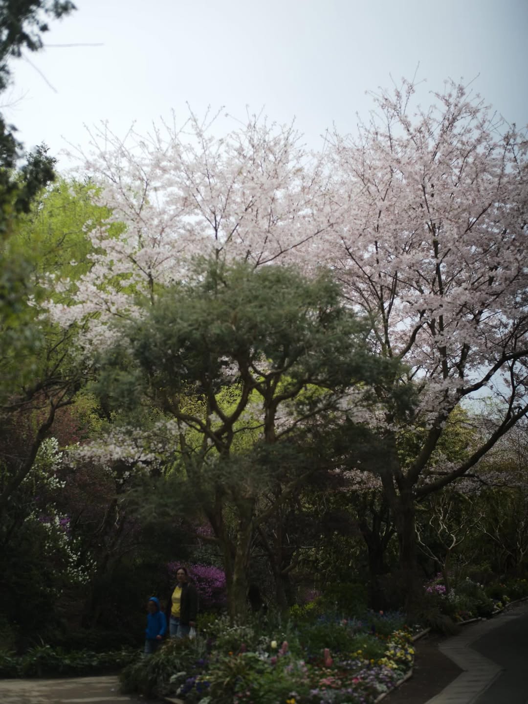 อิ๊งค์ - ภัทรานิษฐ์ วิริยะบำรุงกิจ