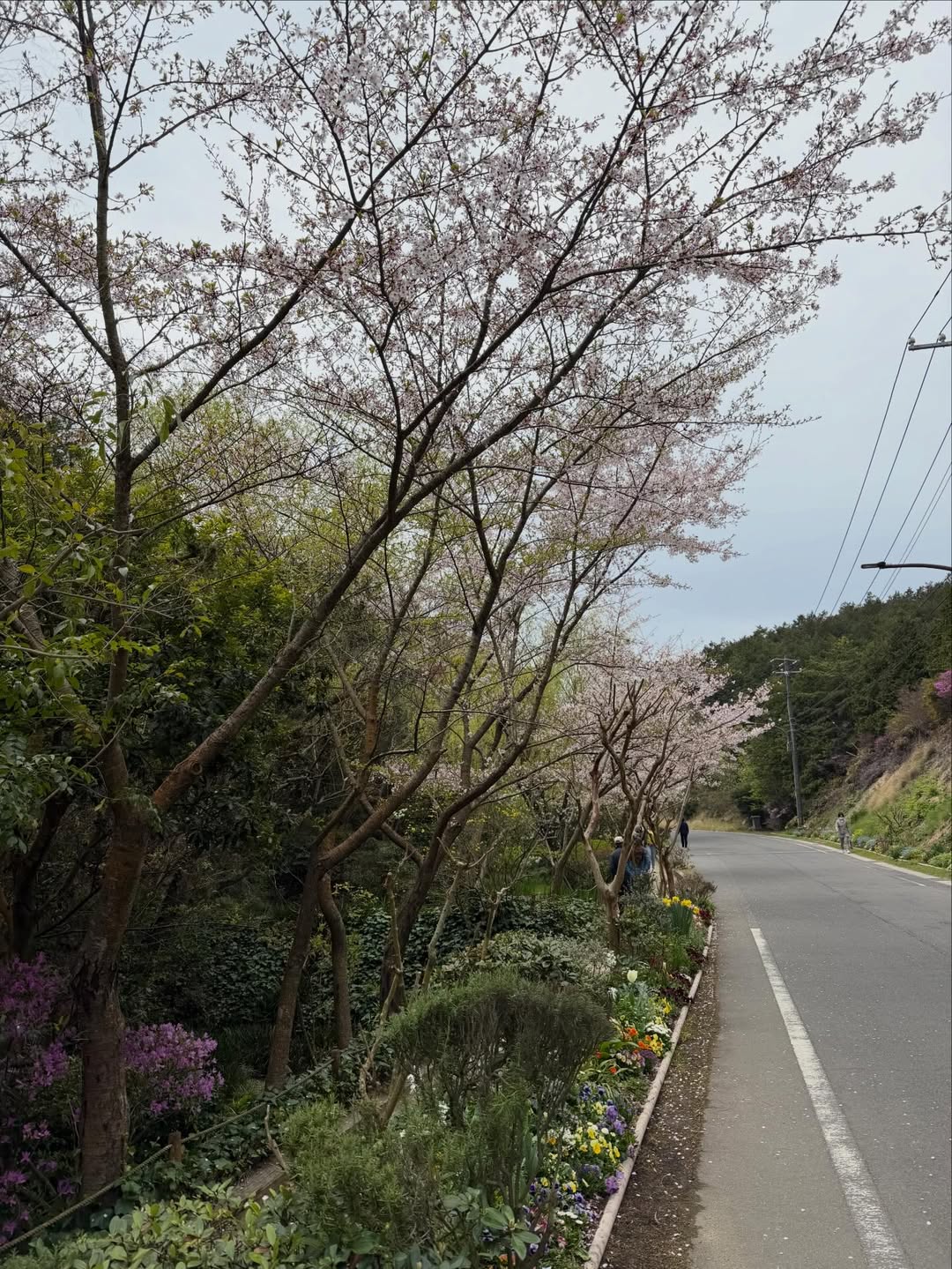 อิ๊งค์ - ภัทรานิษฐ์ วิริยะบำรุงกิจ