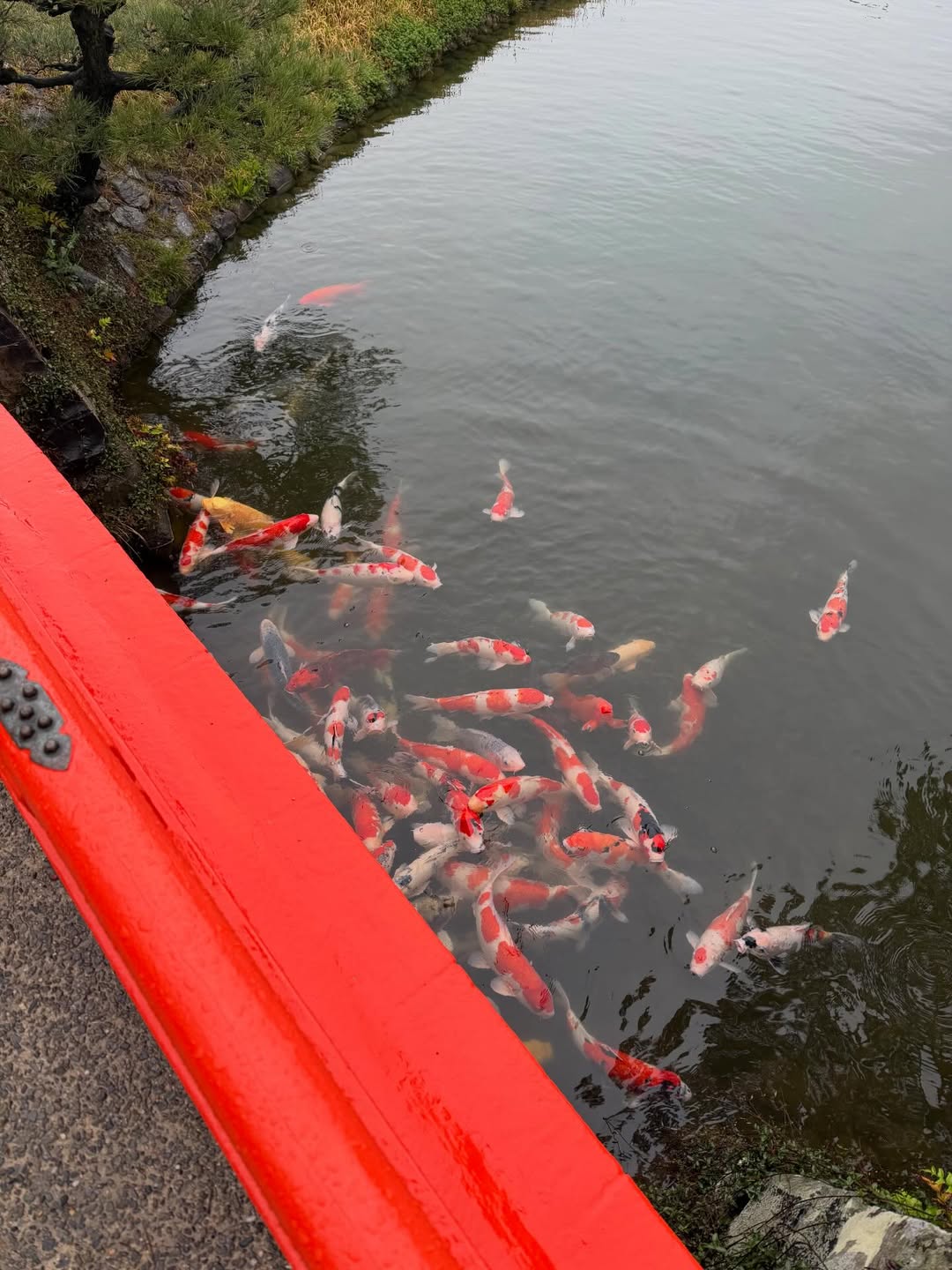 อิ๊งค์ - ภัทรานิษฐ์ วิริยะบำรุงกิจ