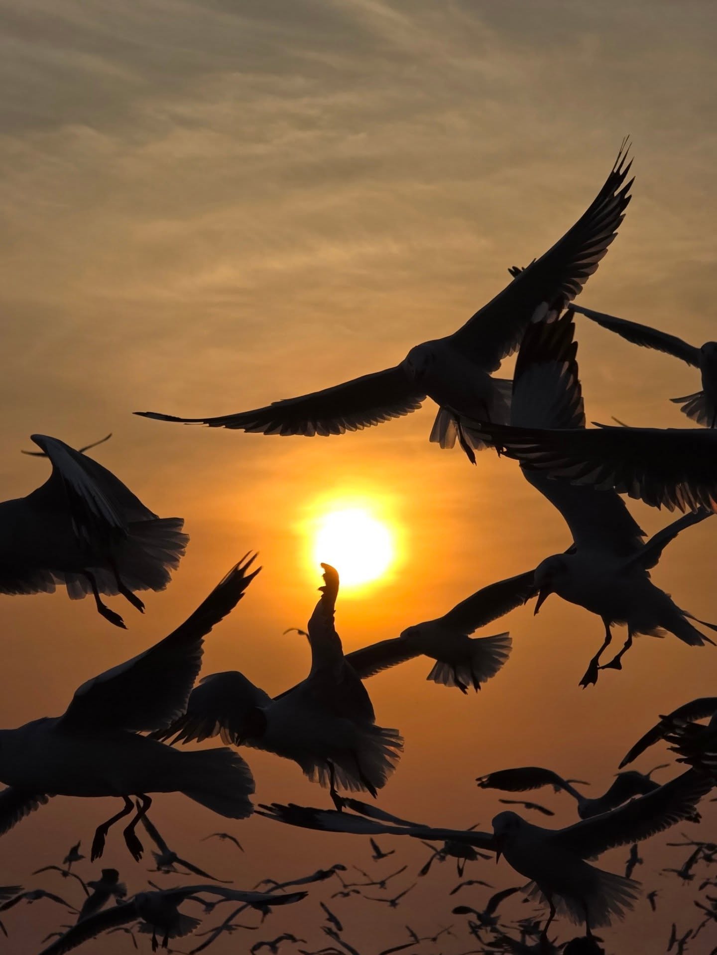 เต๋อ - ฉันทวิชช์ ธนะเสวี