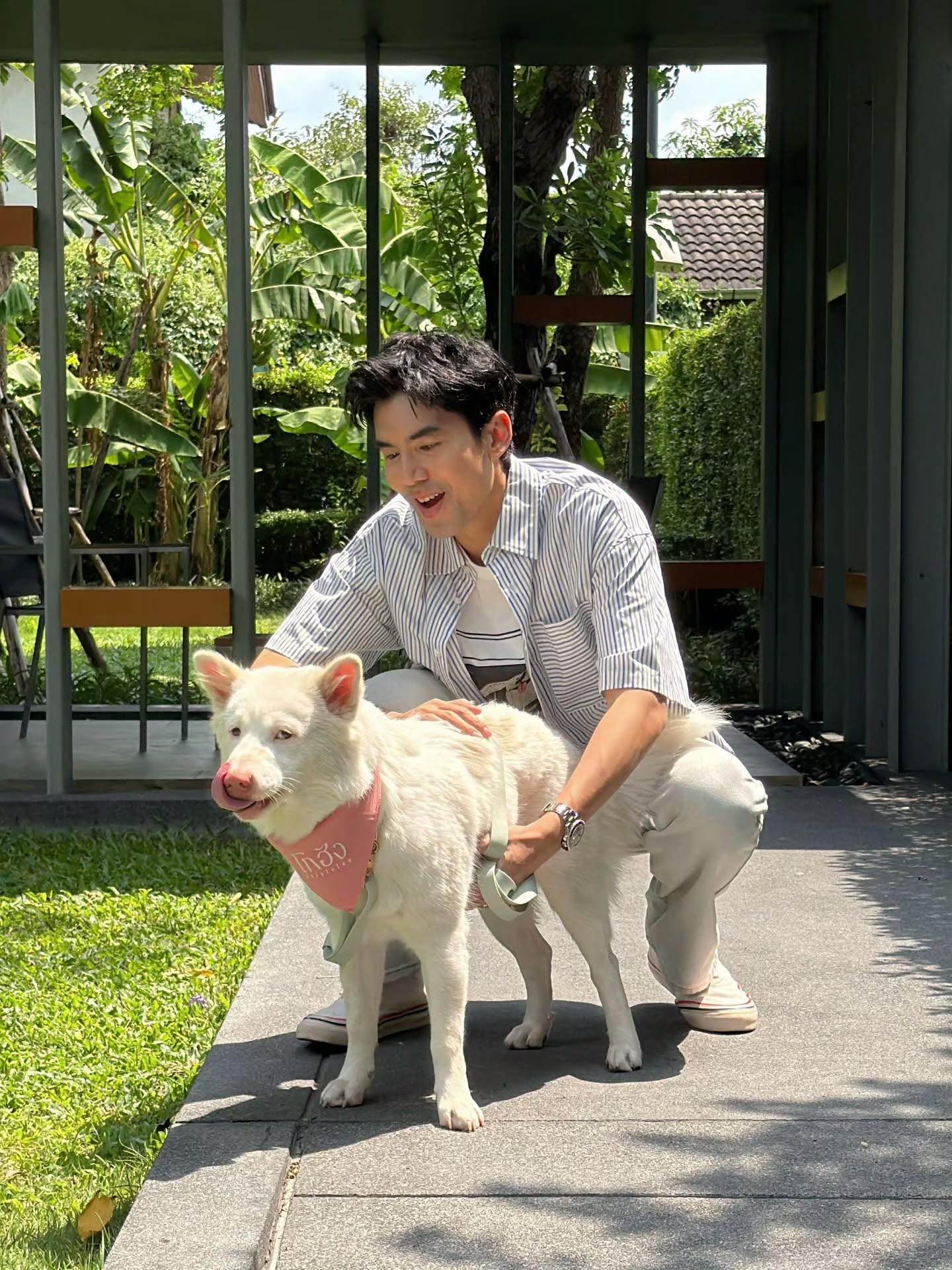 เต๋อ - ฉันทวิชช์ ธนะเสวี