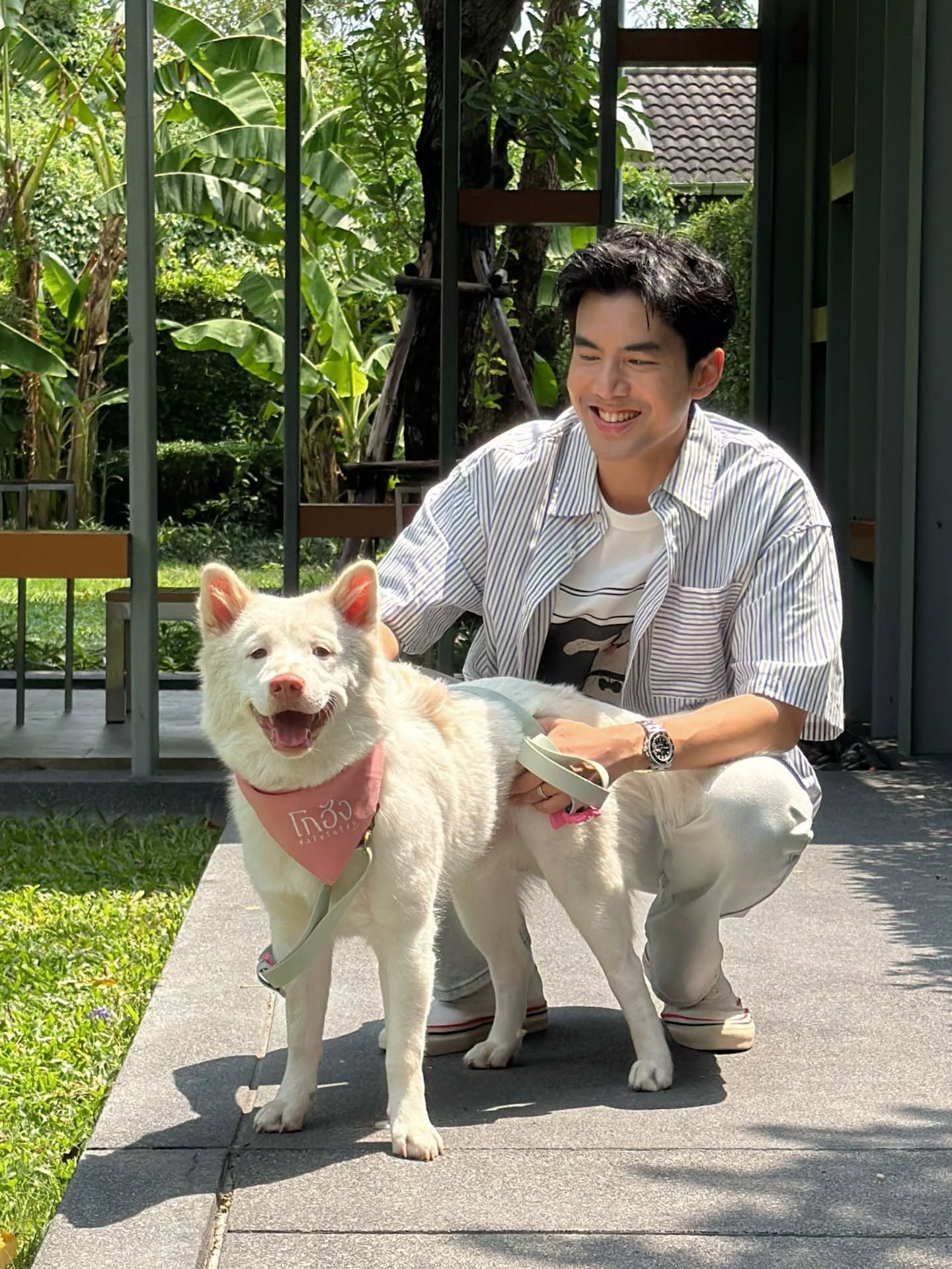 เต๋อ - ฉันทวิชช์ ธนะเสวี