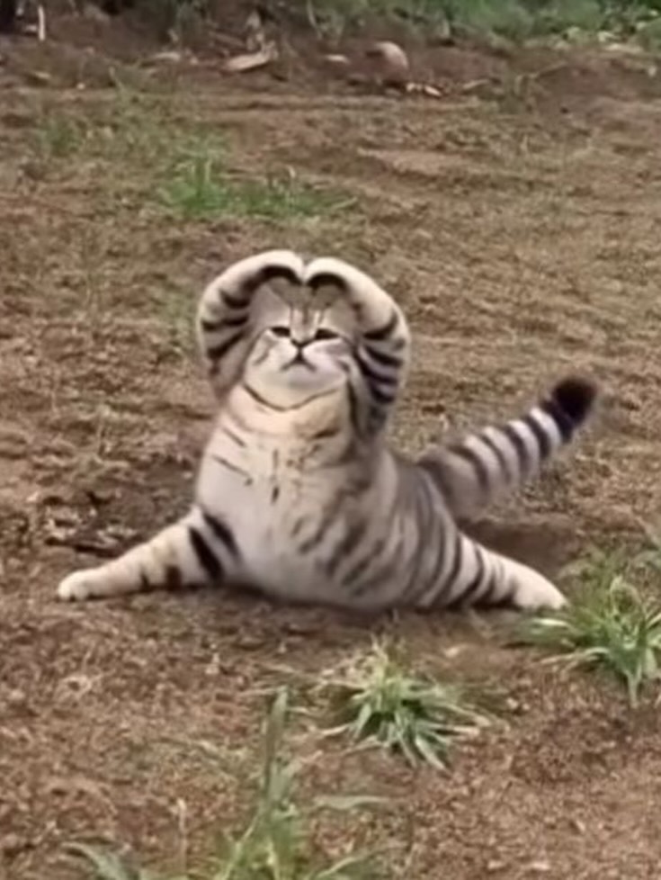 ฟ้า - ษริกา สารทศิลป์ศุภา