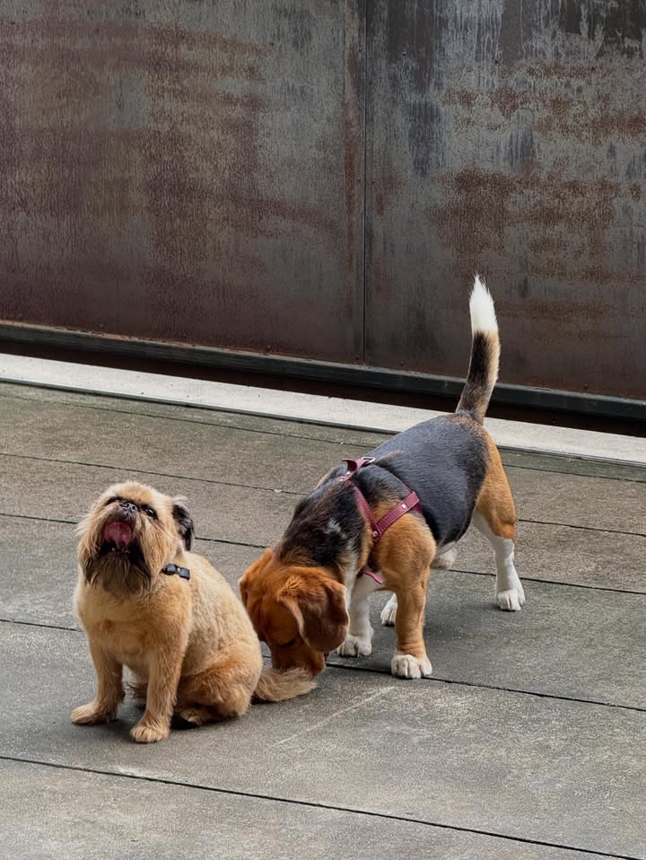 ฟ้า - ษริกา สารทศิลป์ศุภา