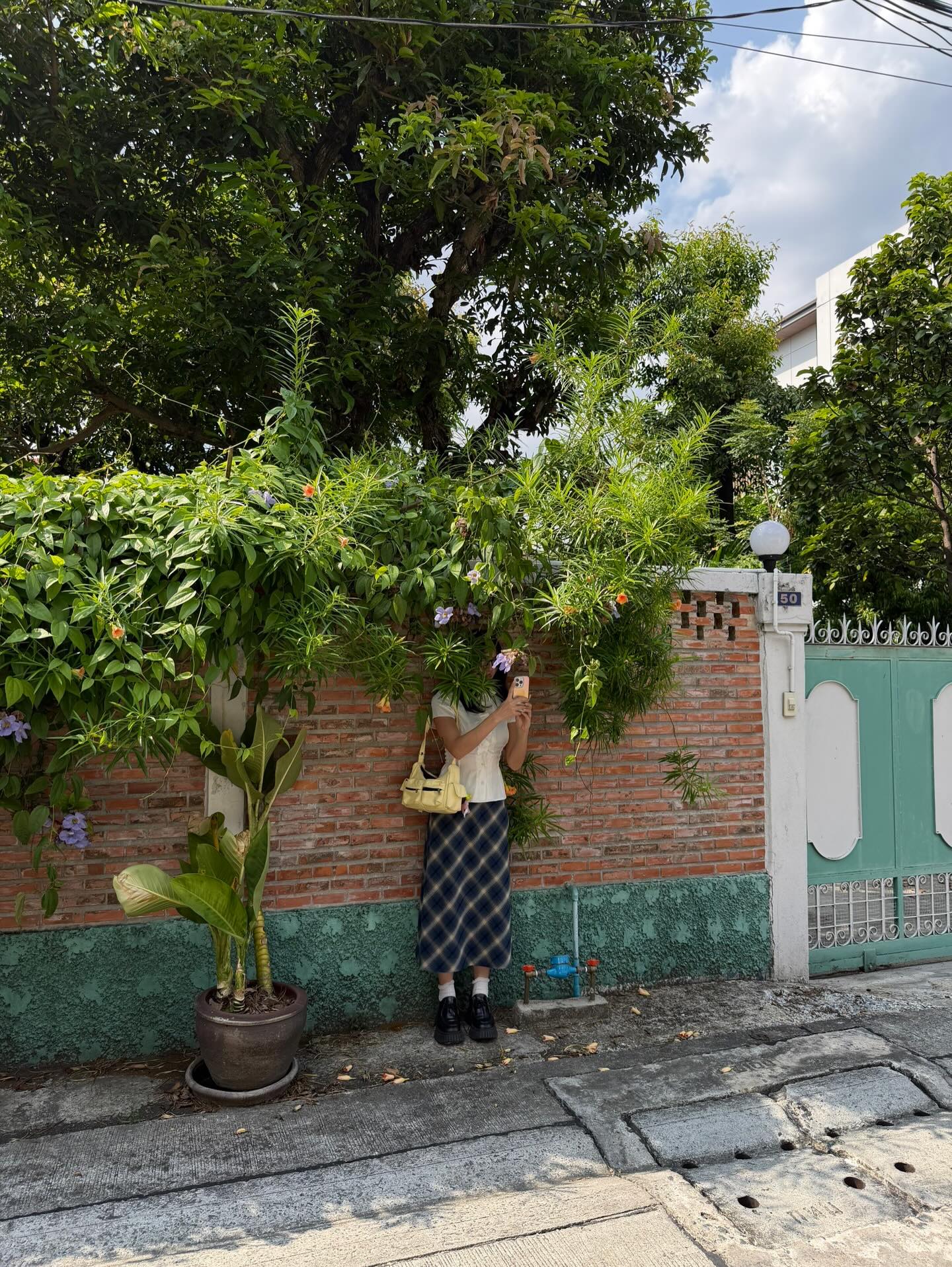 ฟ้า - ษริกา สารทศิลป์ศุภา