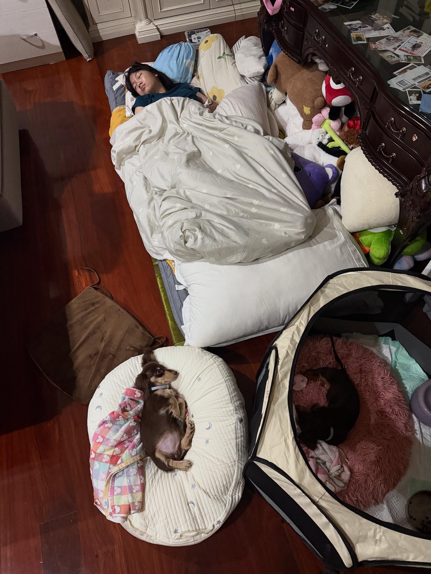 บอย - ปกรณ์ ฉัตรบริรักษ์