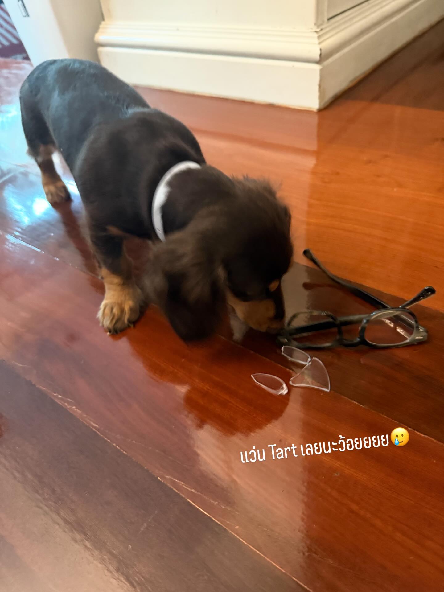 บอย - ปกรณ์ ฉัตรบริรักษ์