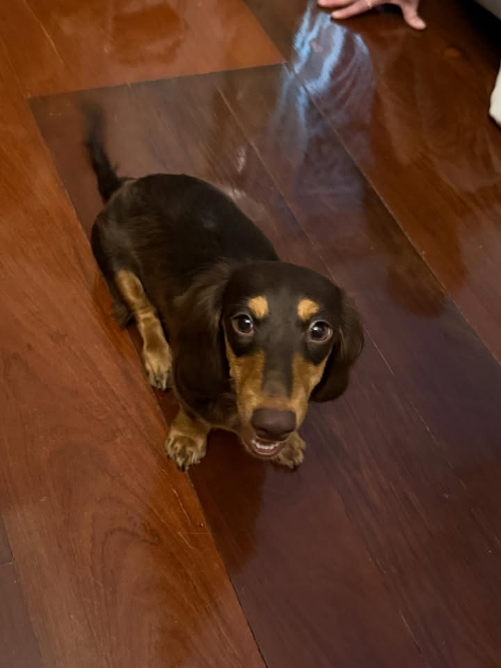 บอย - ปกรณ์ ฉัตรบริรักษ์