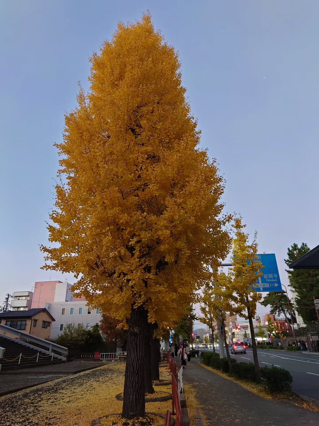 กันต์ ชุณหวัตร