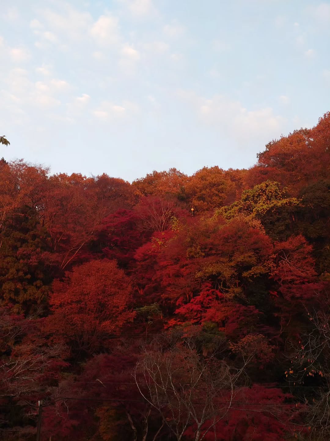 กันต์ ชุณหวัตร