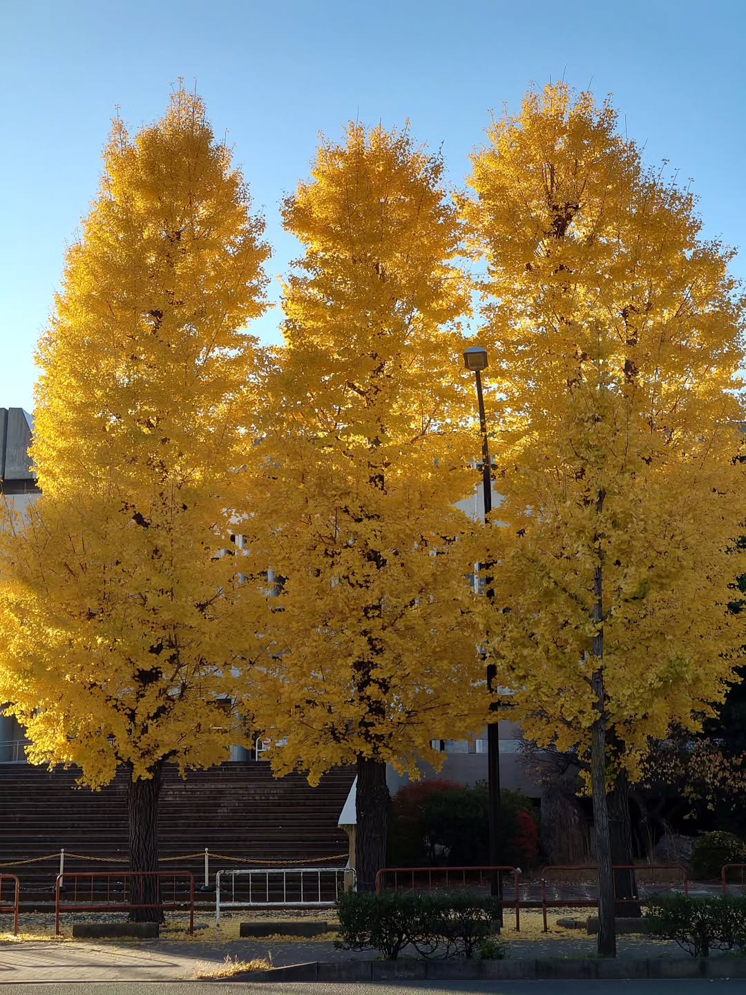 กันต์ ชุณหวัตร