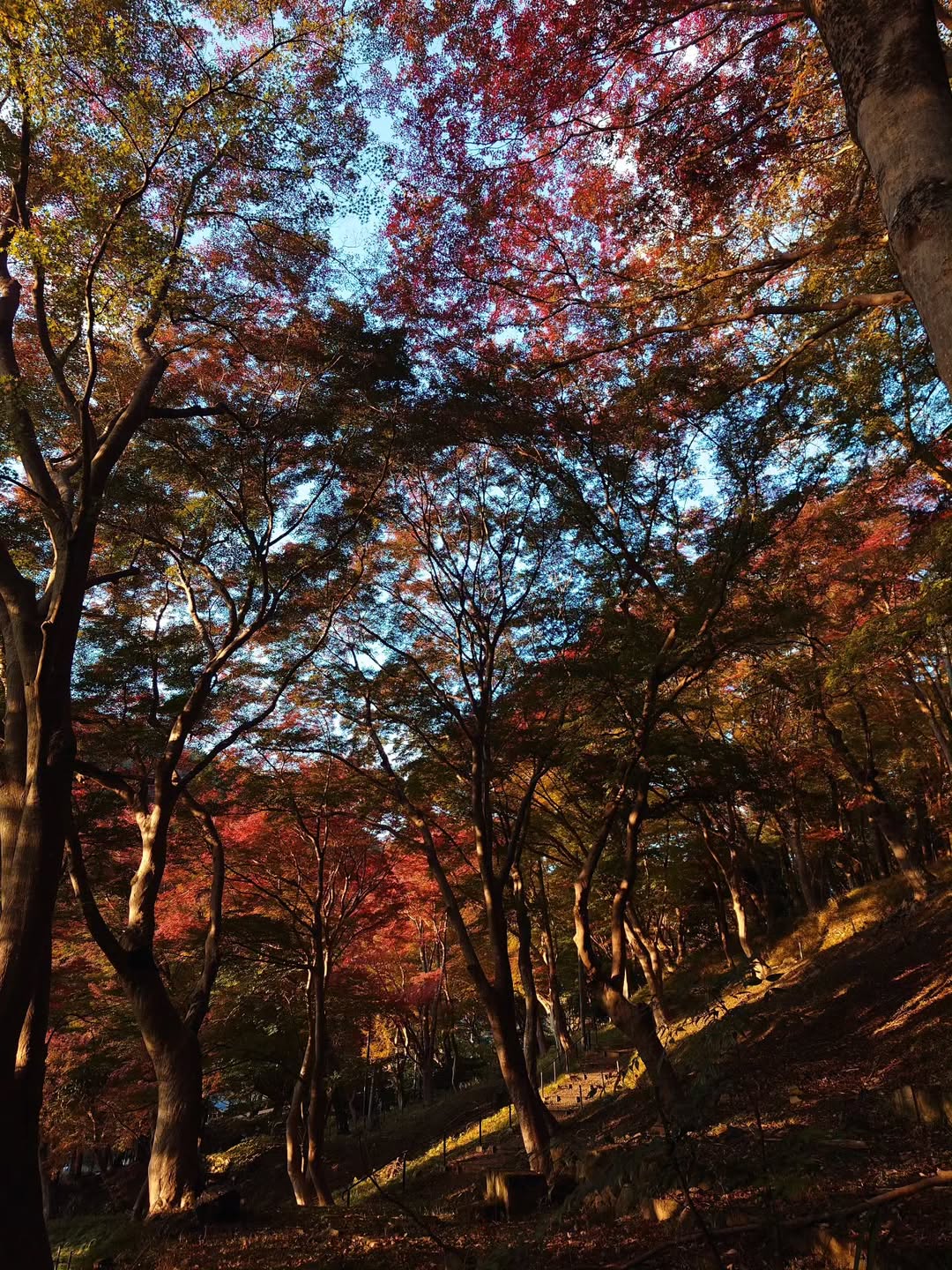 กันต์ ชุณหวัตร