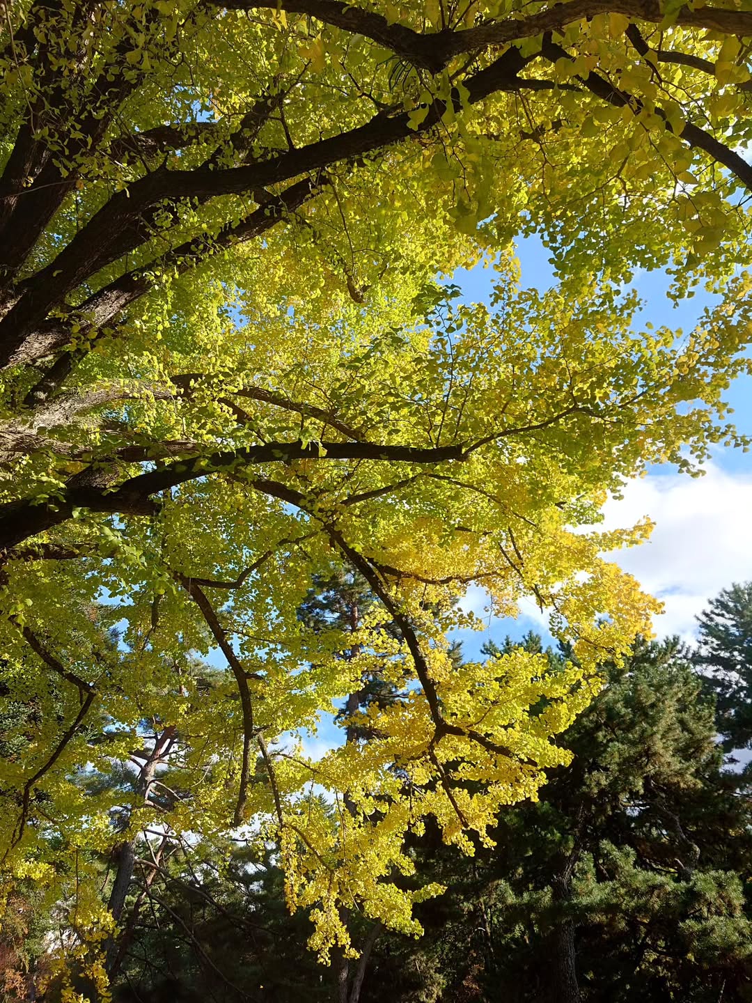 กันต์ ชุณหวัตร