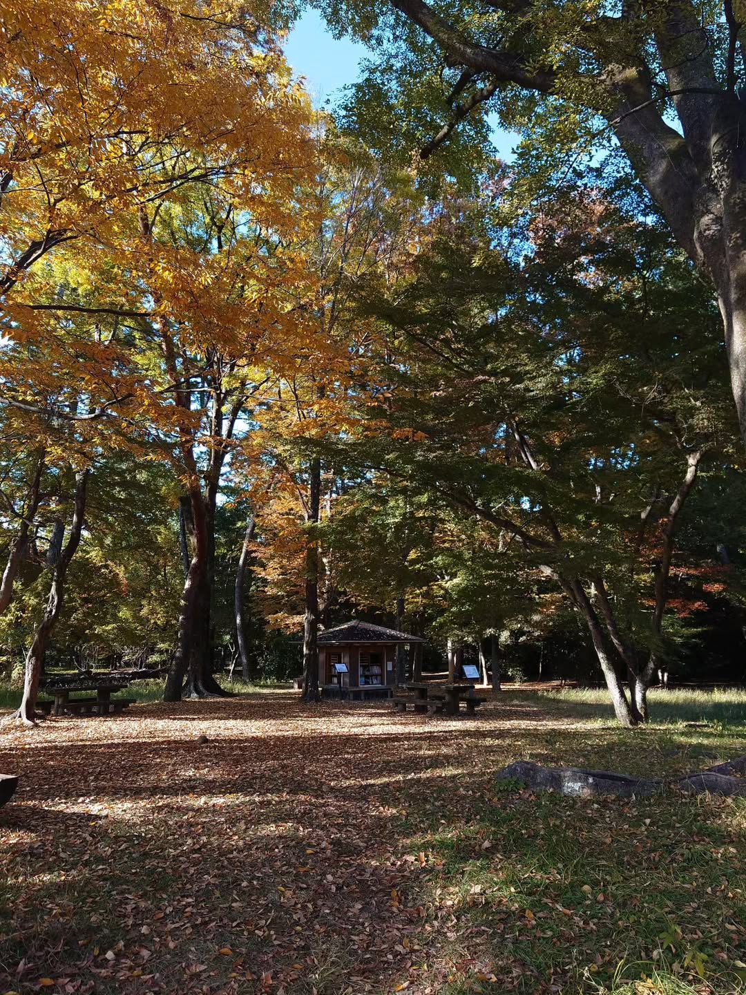 กันต์ ชุณหวัตร