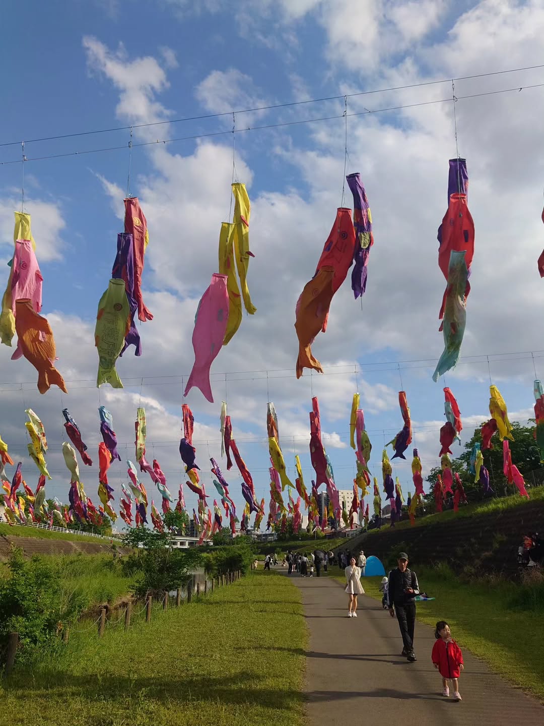 กันต์ ชุณหวัตร