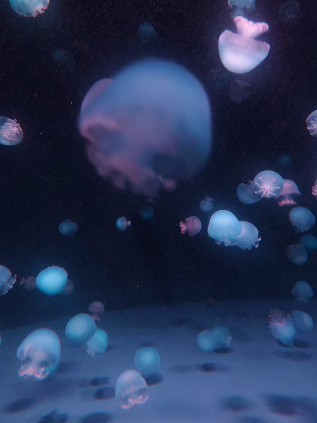 กันต์ ชุณหวัตร