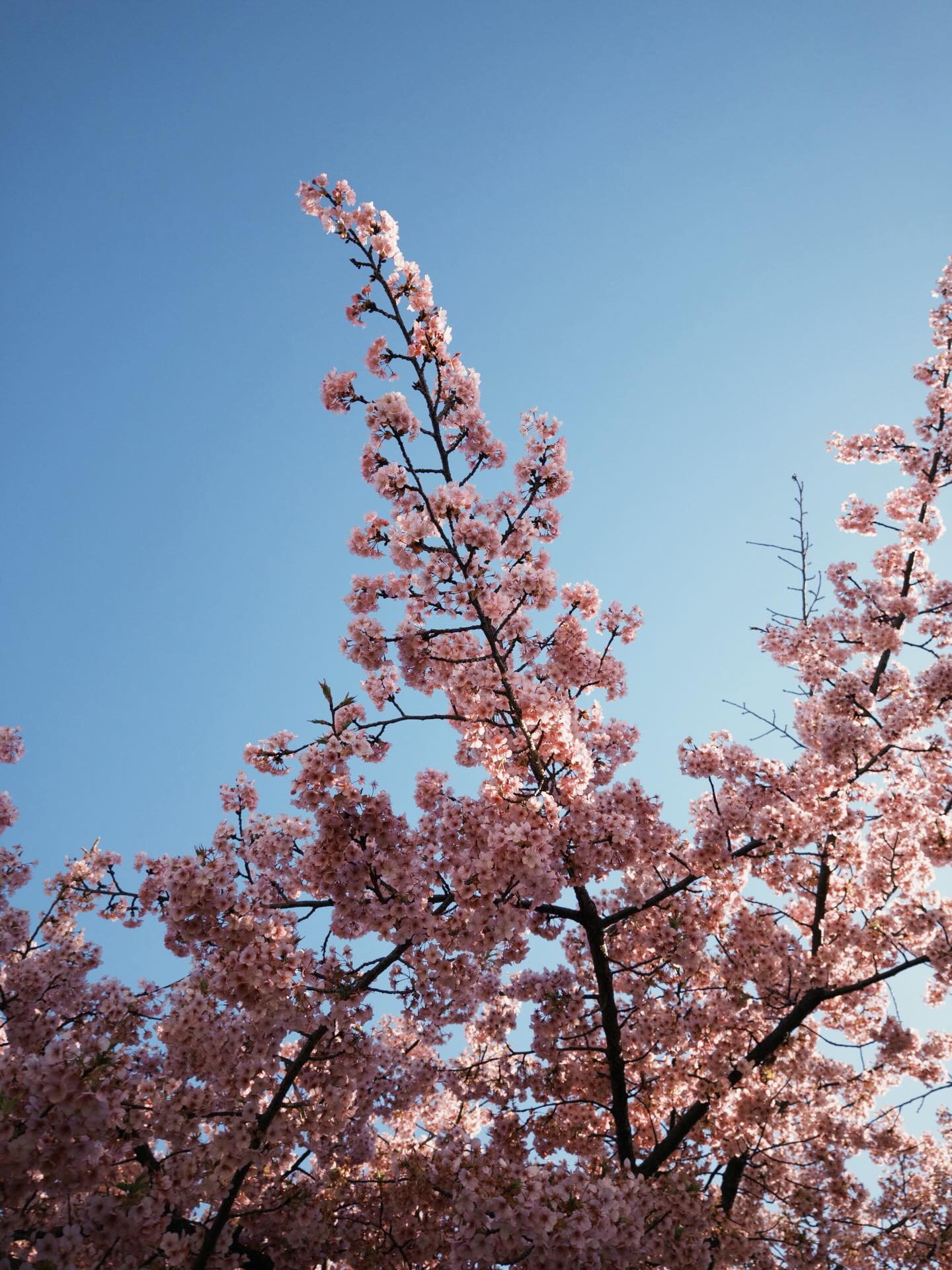 กันต์ ชุณหวัตร