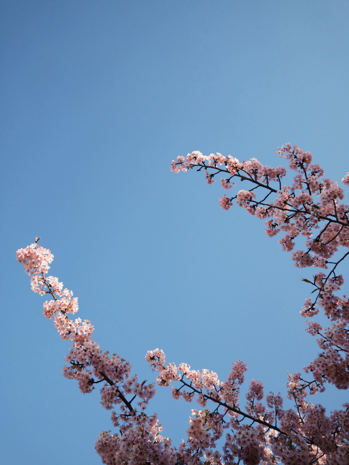 กันต์ ชุณหวัตร