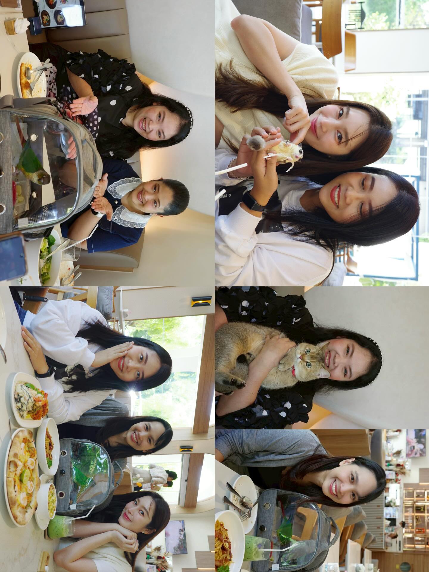 ฐิสา - วริฏฐิสา ลิ้มธรรมมหิศร