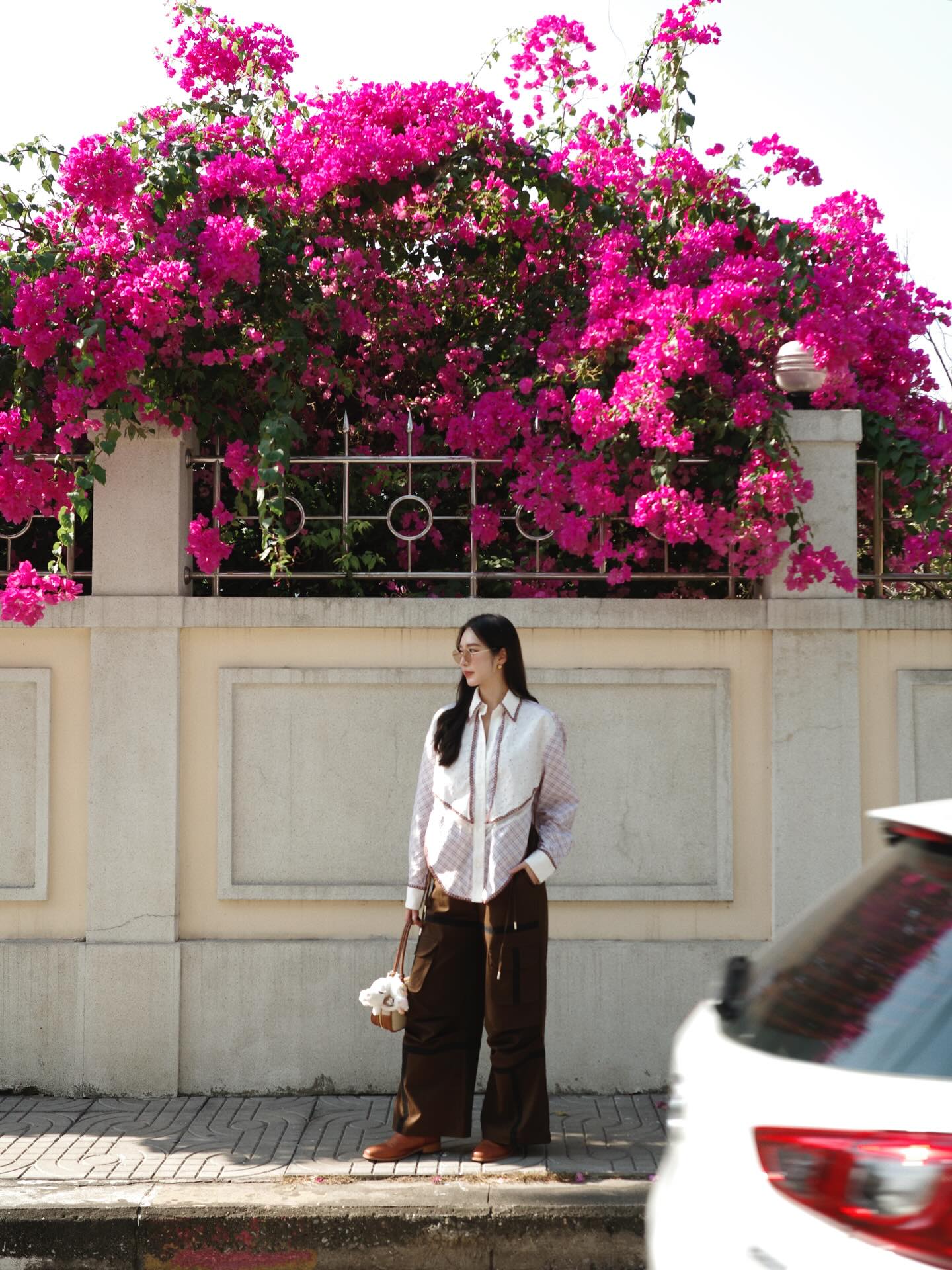 ฐิสา - วริฏฐิสา ลิ้มธรรมมหิศร