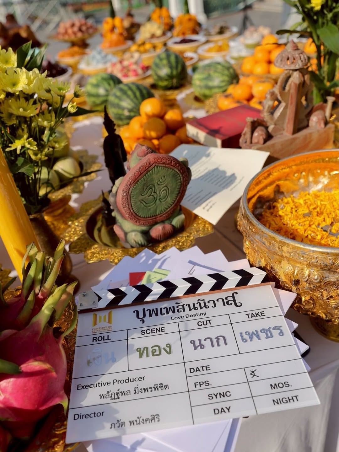 ฐิสา - วริฏฐิสา ลิ้มธรรมมหิศร