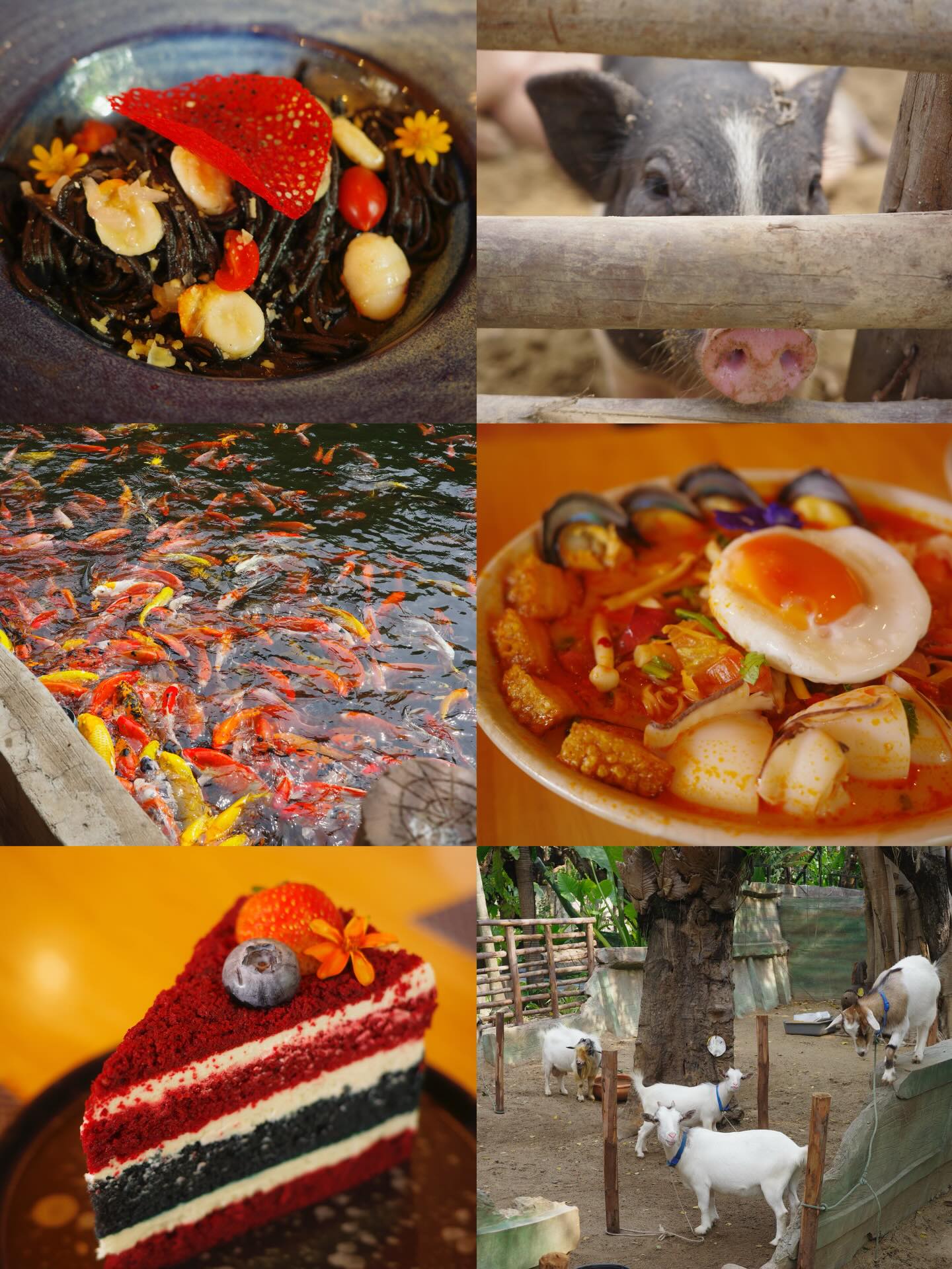 ฐิสา - วริฏฐิสา ลิ้มธรรมมหิศร