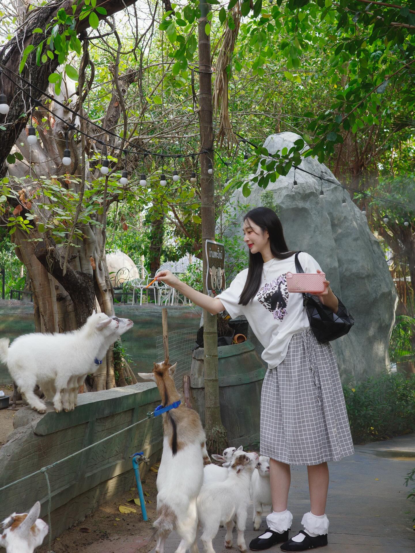 ฐิสา - วริฏฐิสา ลิ้มธรรมมหิศร