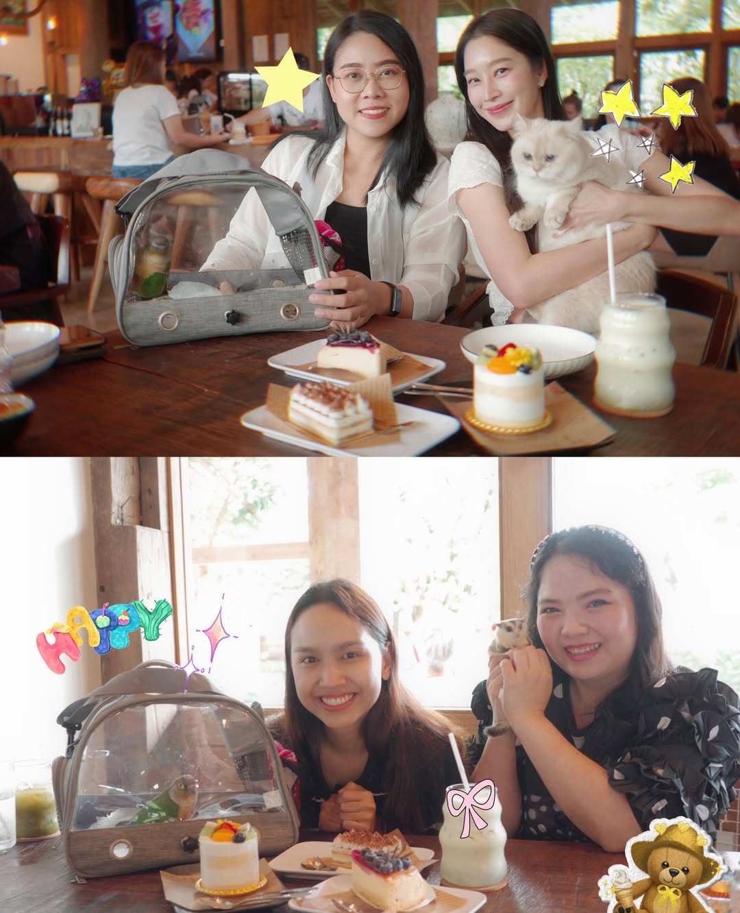 ฐิสา - วริฏฐิสา ลิ้มธรรมมหิศร