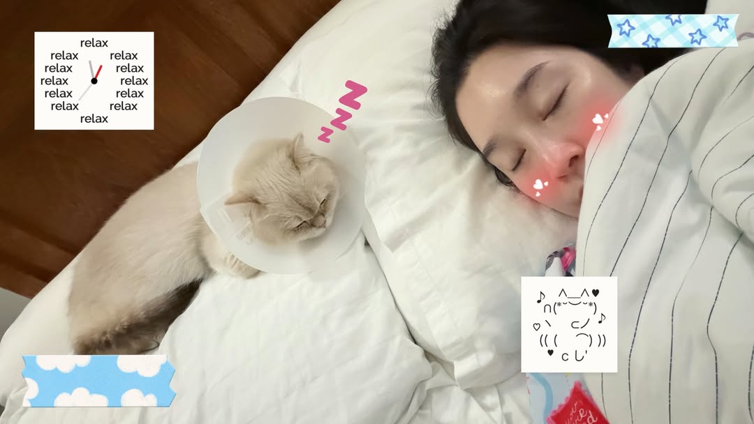 ฐิสา - วริฏฐิสา ลิ้มธรรมมหิศร