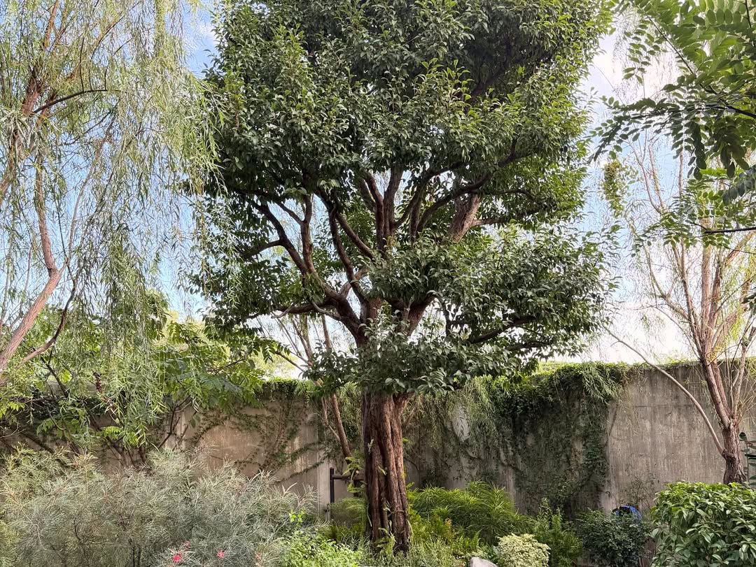 แก๊ป - ธนเวทย์ สิริวัฒน์ธนกุล