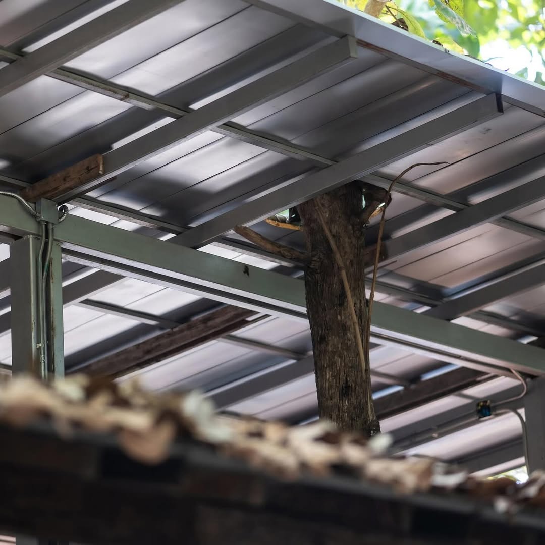 แก๊ป - ธนเวทย์ สิริวัฒน์ธนกุล