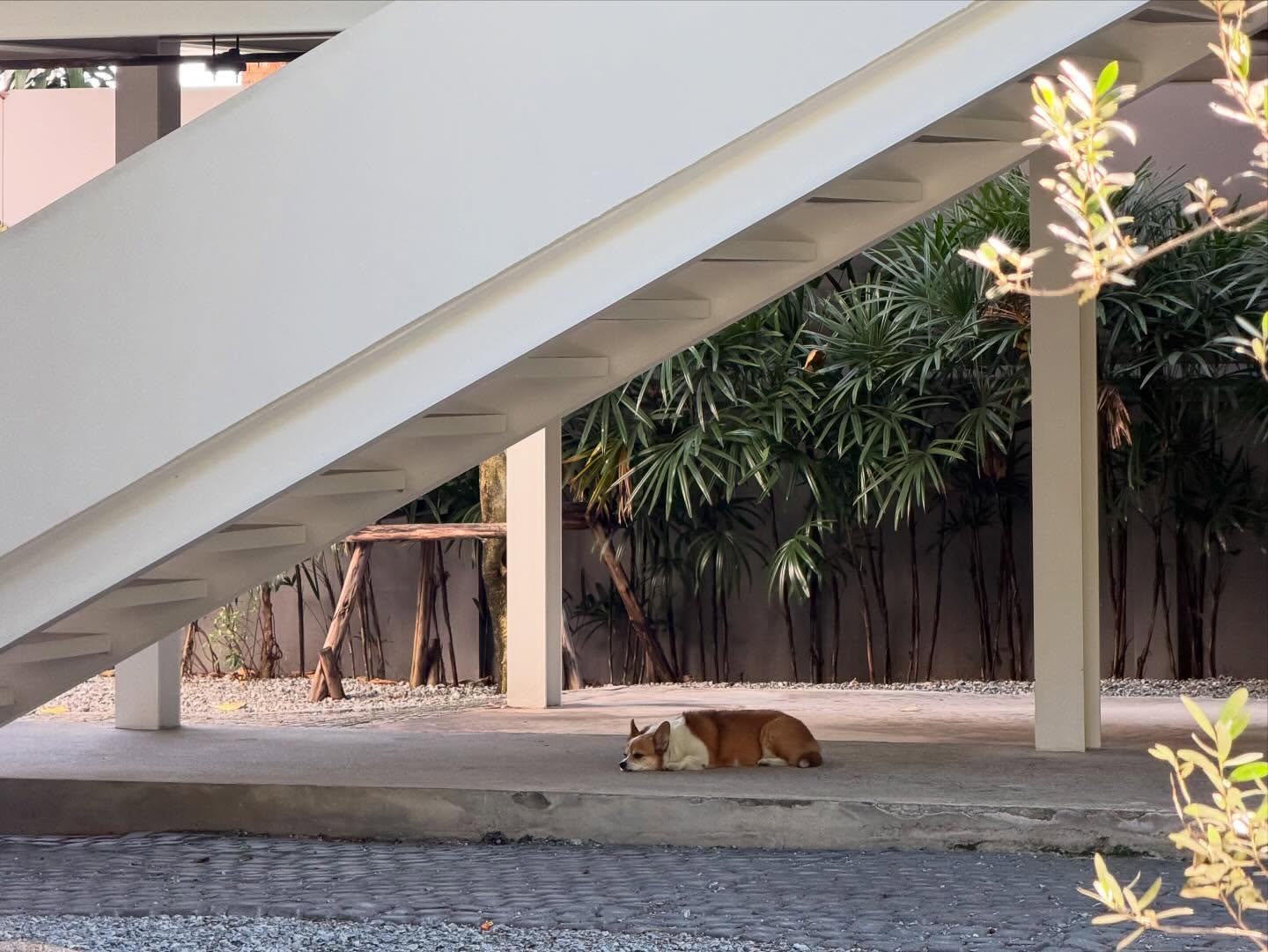 แก๊ป - ธนเวทย์ สิริวัฒน์ธนกุล