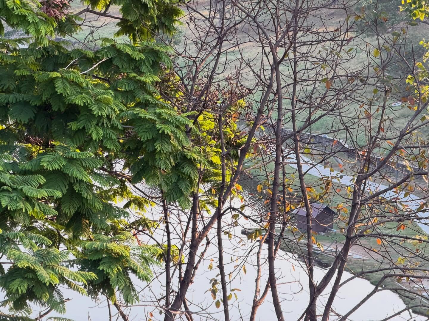 แก๊ป - ธนเวทย์ สิริวัฒน์ธนกุล