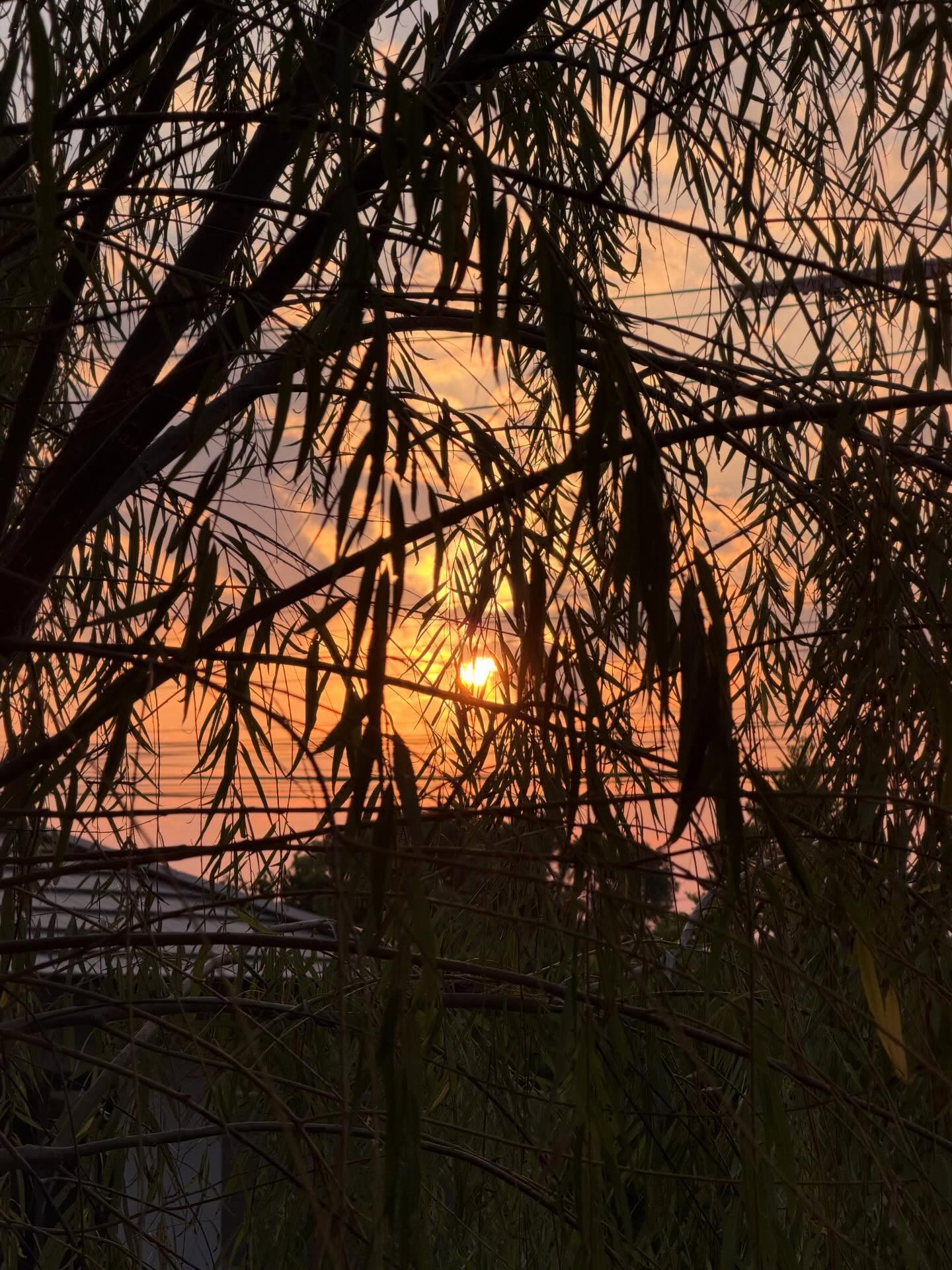 แก๊ป - ธนเวทย์ สิริวัฒน์ธนกุล