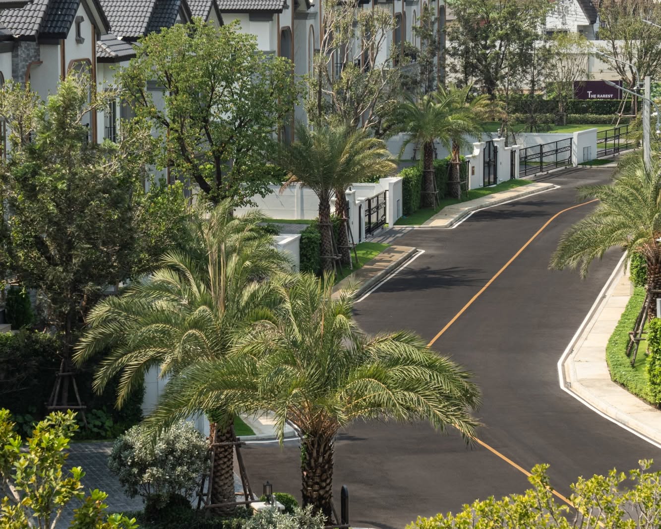 แก๊ป - ธนเวทย์ สิริวัฒน์ธนกุล