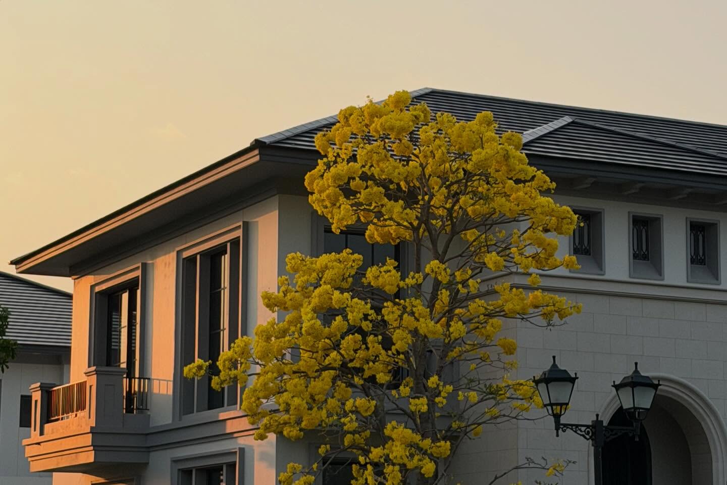 แก๊ป - ธนเวทย์ สิริวัฒน์ธนกุล